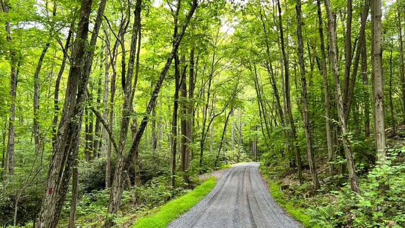 Pennsylvania: Havice Valley Road Hero Photo