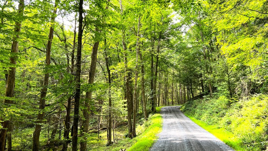 Havice Valley Road Trail Review Photo