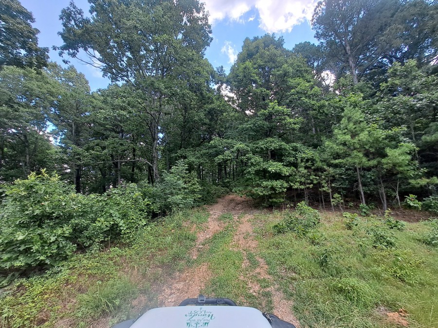 Roaring Springs Road Trail Review Photo
