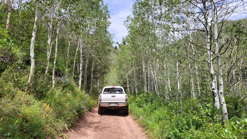 Colorado: June Creek Hero Photo
