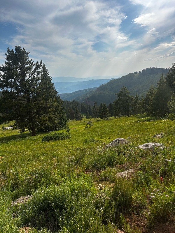 Metcalf Creek Trail Review Photo