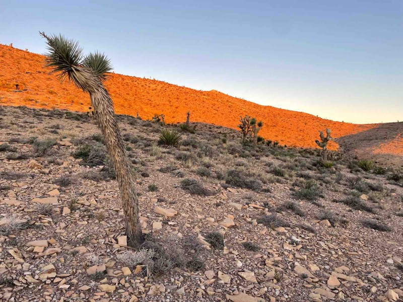 Railroad Canyon Trail Review Photo