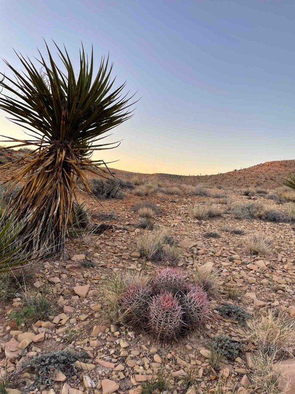 Railroad Canyon Trail Review Photo