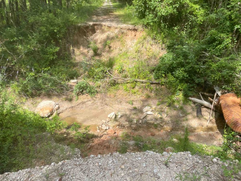 Cheeseburger Loop Trail Review Photo