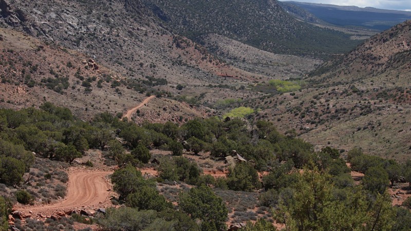 Ryan Creek Road Trail Review Photo