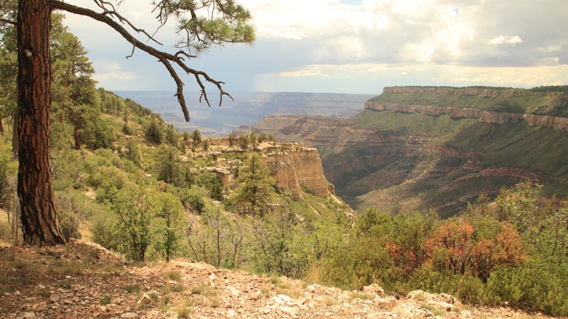 Arizona: Swamp Ridge Road Hero Photo