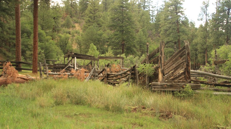 Arizona: Big Saddle - Bee Springs Hero Photo