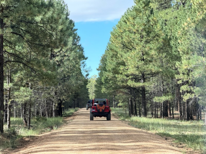 Big Saddle - Bee Springs Trail Review Photo
