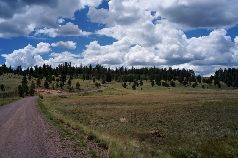 Water Canyon Road Trail Review Photo