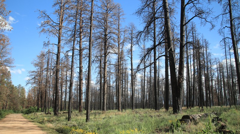 Arizona: Warm Springs Canyon Hero Photo