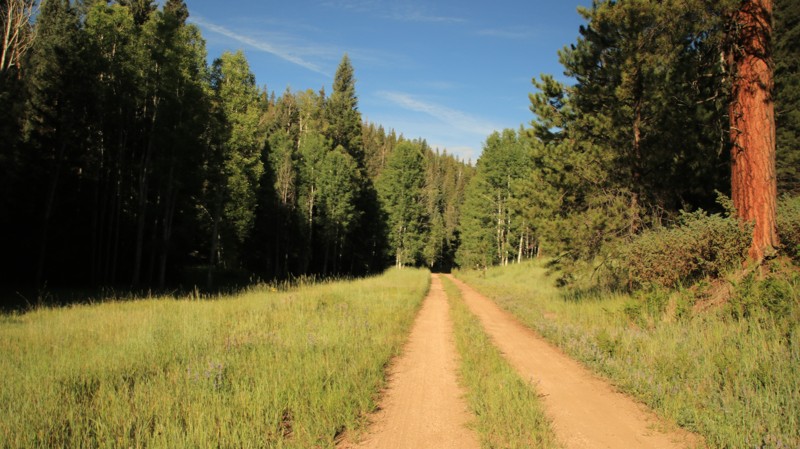 Arizona: FR 609 Hero Photo