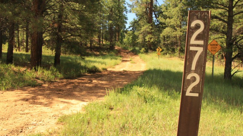 Arizona: FR 272 Hero Photo