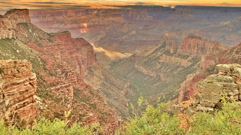 Arizona: Dog Saddle Hero Photo
