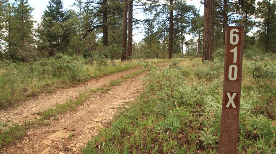 Dog Saddle Trail Review Photo