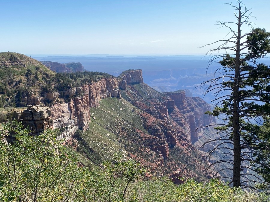 Dog Saddle Trail Review Photo