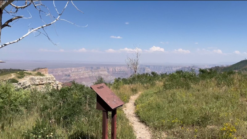 Dog Saddle Trail Review Photo