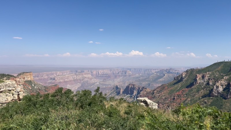 Dog Saddle Trail Review Photo