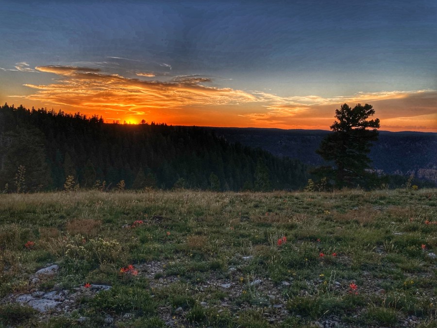 Marble View Point Trail Review Photo
