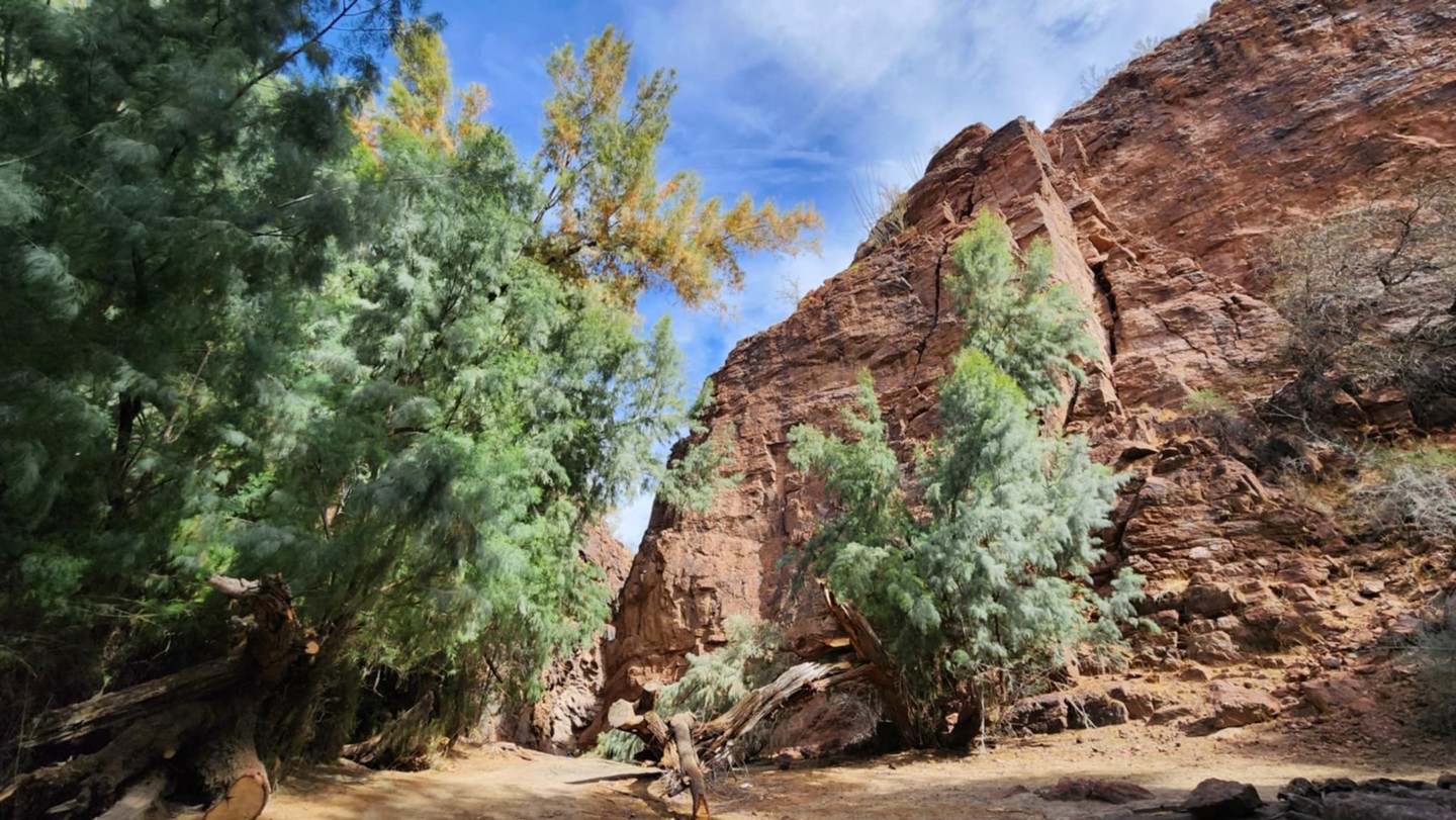 Arizona hill's 42764 N 98th Pl, Scottsdale, AZ 85262 | Realtor.com®