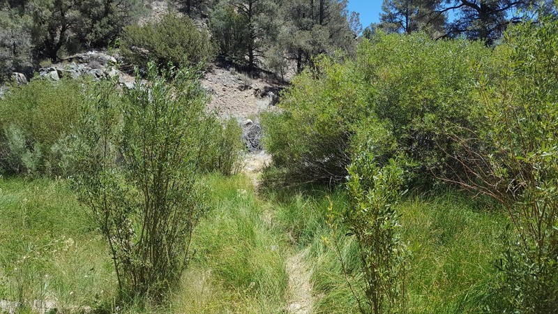 California: Yellow Jacket Trail (Lower) / 20W24 / 126 Hero Photo