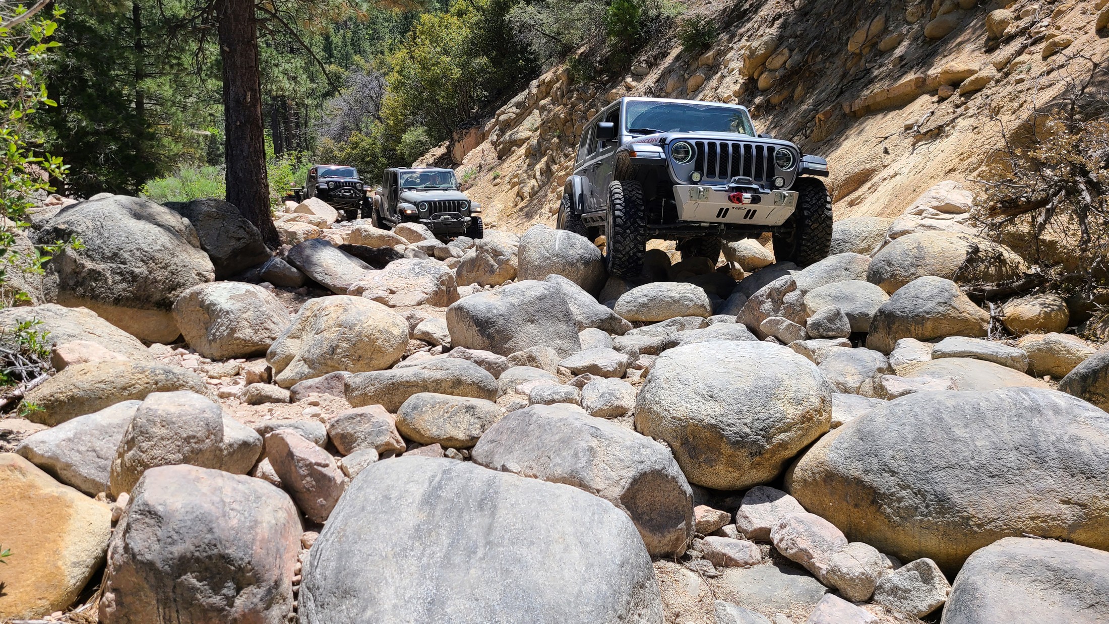 Holcomb Creek Trail, California | GPS Map, Photos & Reviews