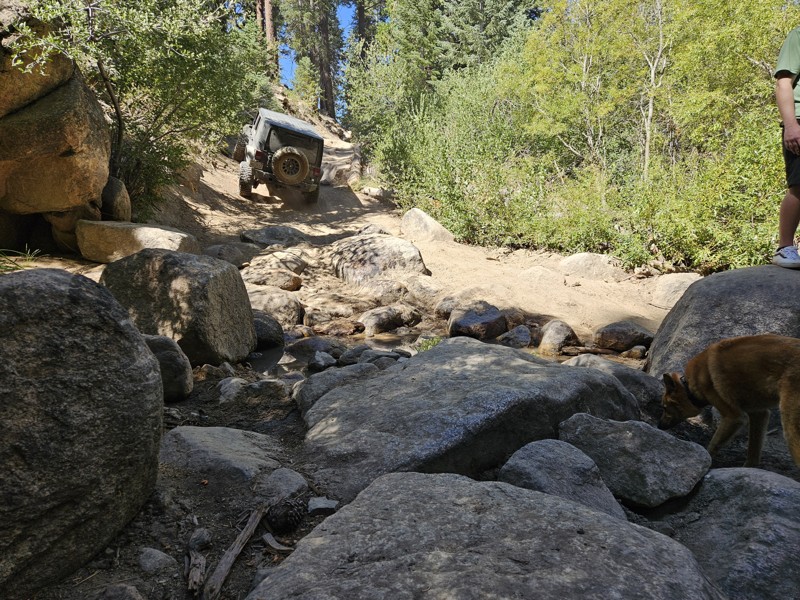 3N93 - Holcomb Creek Trail Trail Review Photo