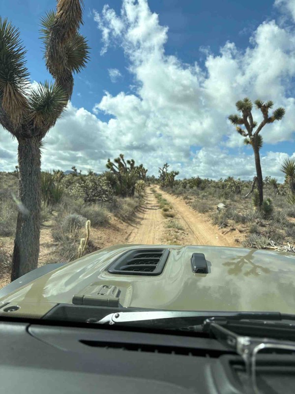Mojave Road Trail Review Photo