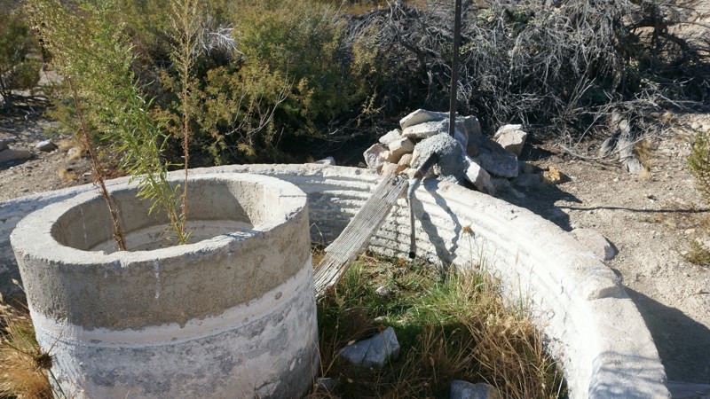 Mojave Road - Waypoint 52: Marl Springs