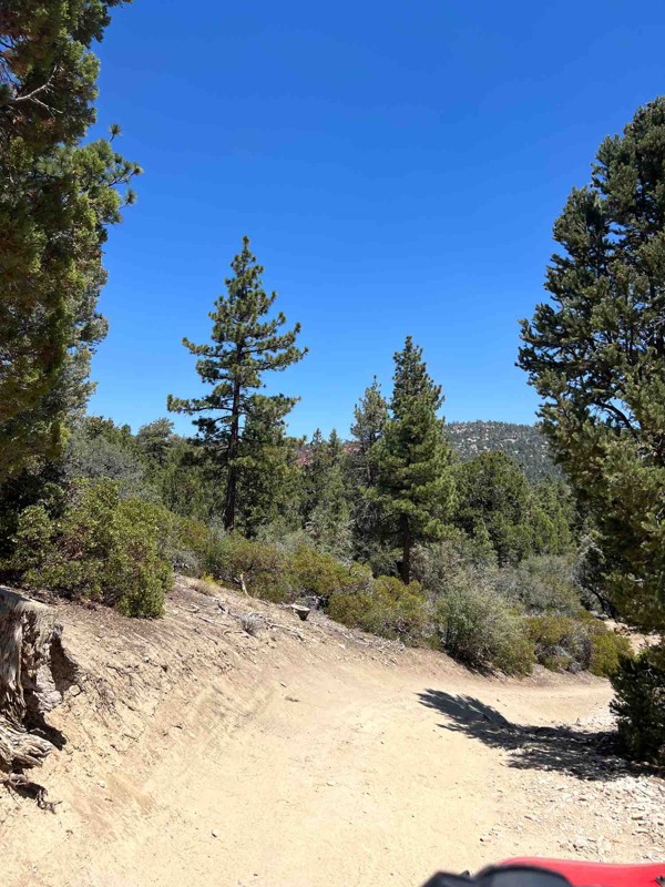 3N10 – John Bull Trail Review Photo