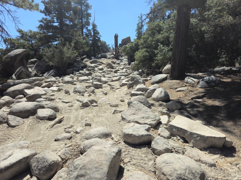 3N10 – John Bull Trail Review Photo