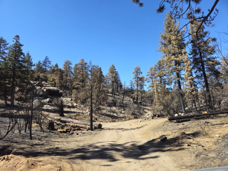 3N10 – John Bull Trail Review Photo