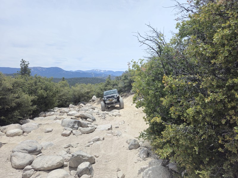 3N10 – John Bull Trail Review Photo