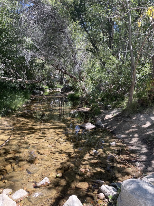 3N16 - Holcomb Valley Trail Review Photo