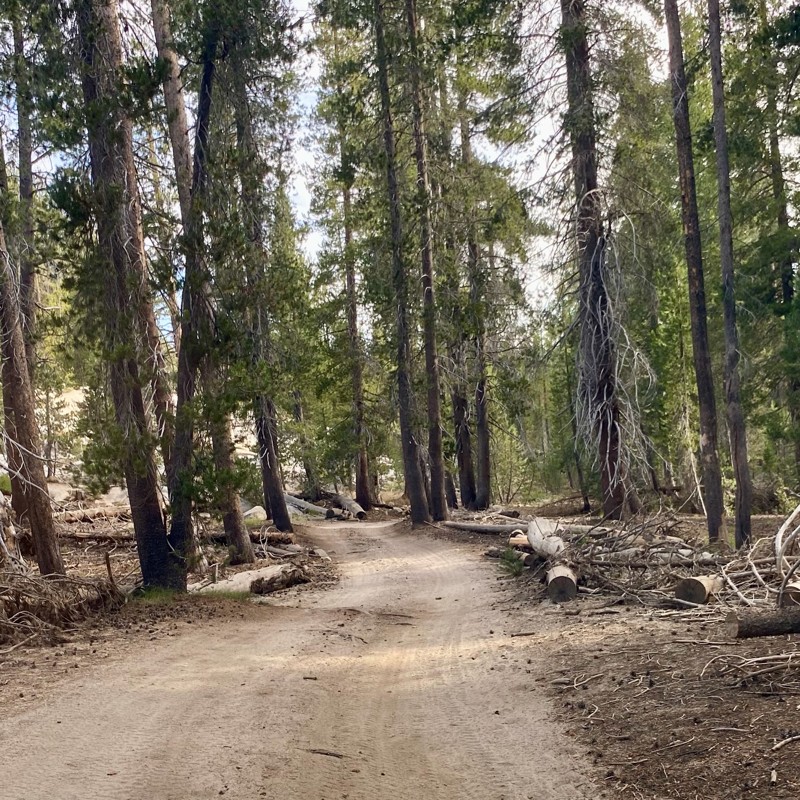Dusy-Ershim  Trail Trail Review Photo