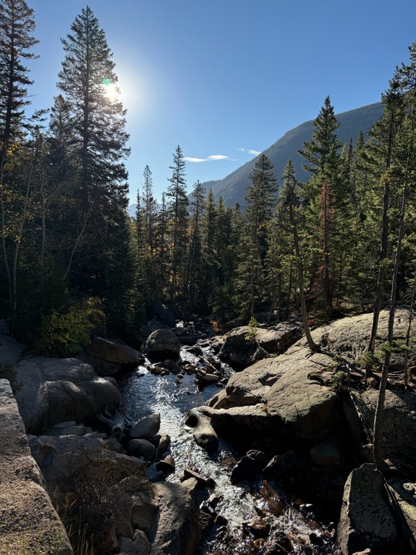 Old Fall River Road Trail Review Photo