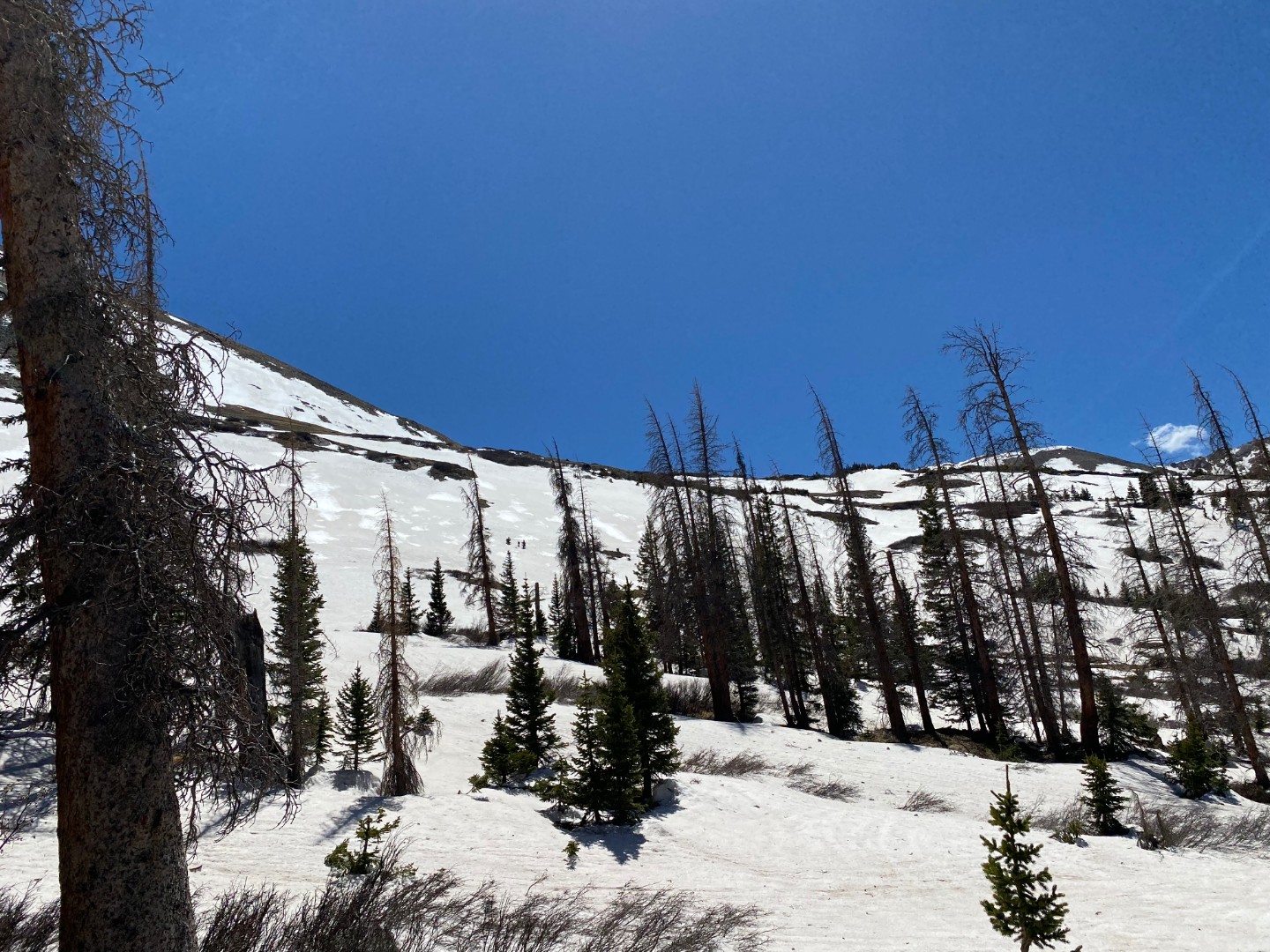 Hancock Pass Colorado Offroad Trail