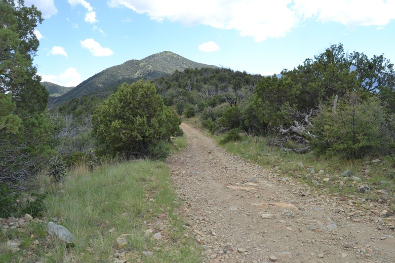 Arizona: Rice Peak FR 29 Hero Photo