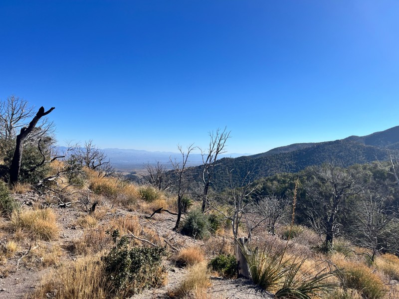 Rice Peak FR 29 Trail Review Photo