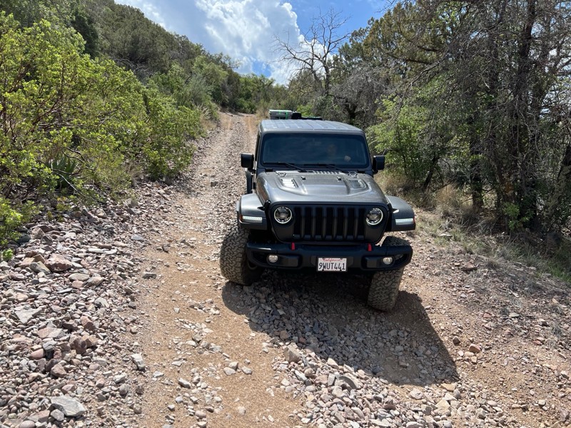 Rice Peak FR 29 Trail Review Photo