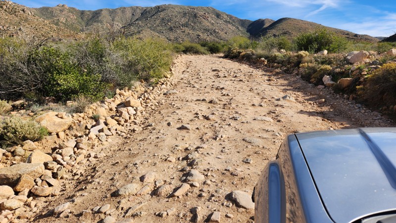 Four Peaks Trail Trail Review Photo