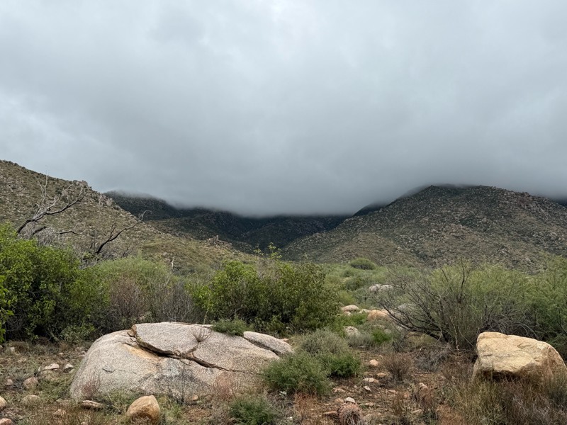 Four Peaks Trail Trail Review Photo