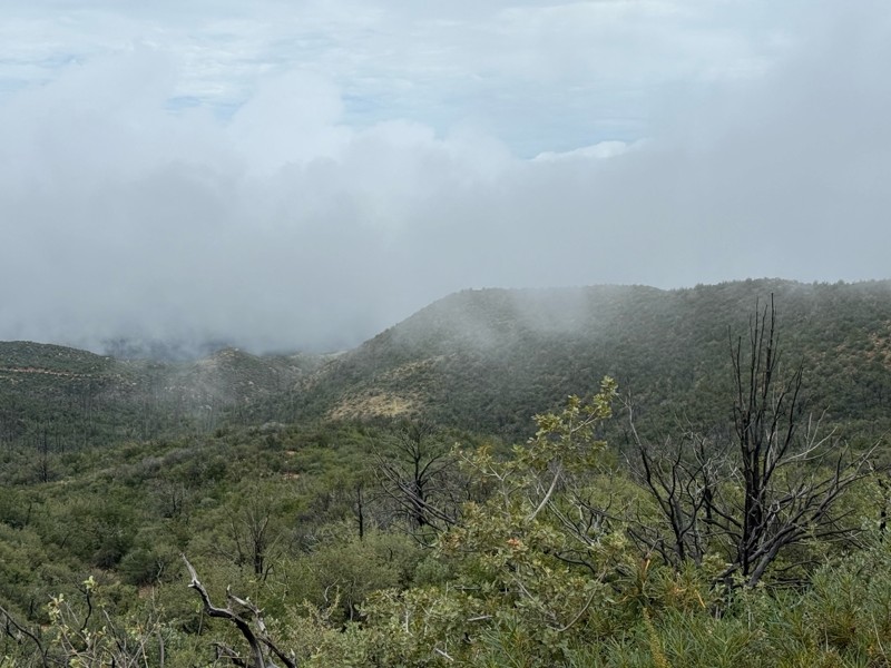 Four Peaks Trail Trail Review Photo