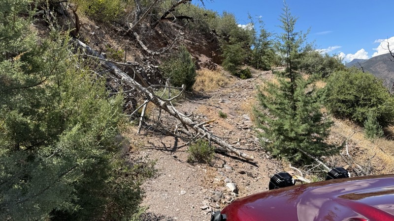 Back Way to Mt. Ord Trail Review Photo