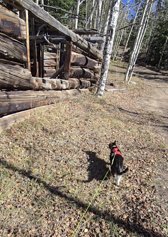 Pickle Gulch (Blackhawk) Trail Review Photo