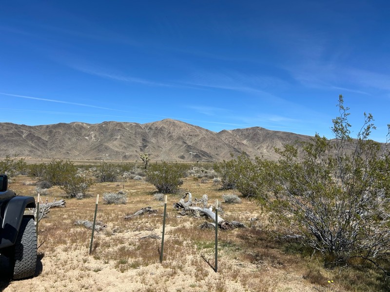 Berdoo Canyon Trail Review Photo