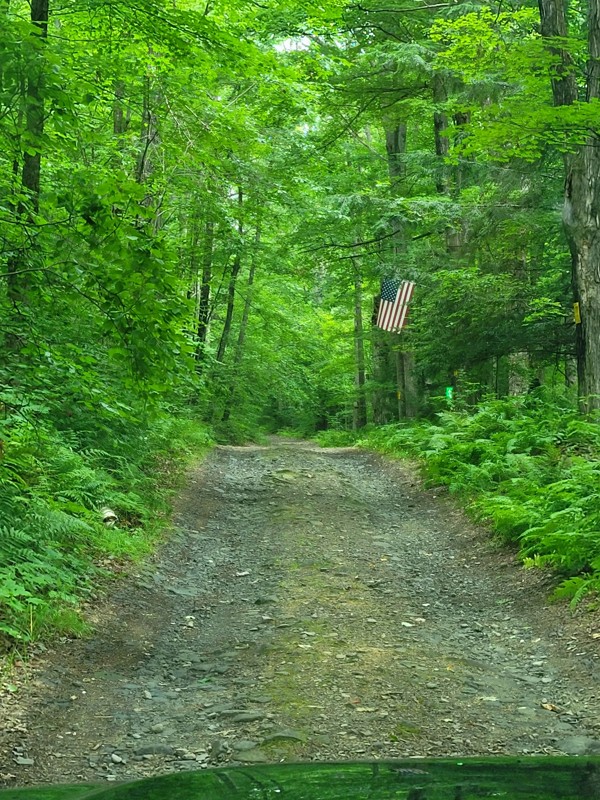 Burnt Hill Road Trail Review Photo
