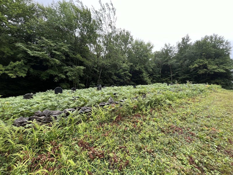 Morey Road Trail Review Photo