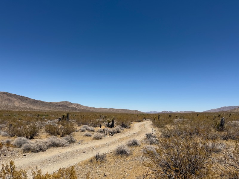 Pinkham Canyon Trail Review Photo