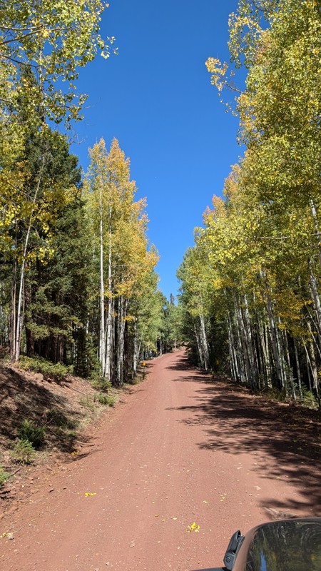 Canero Trail Review Photo