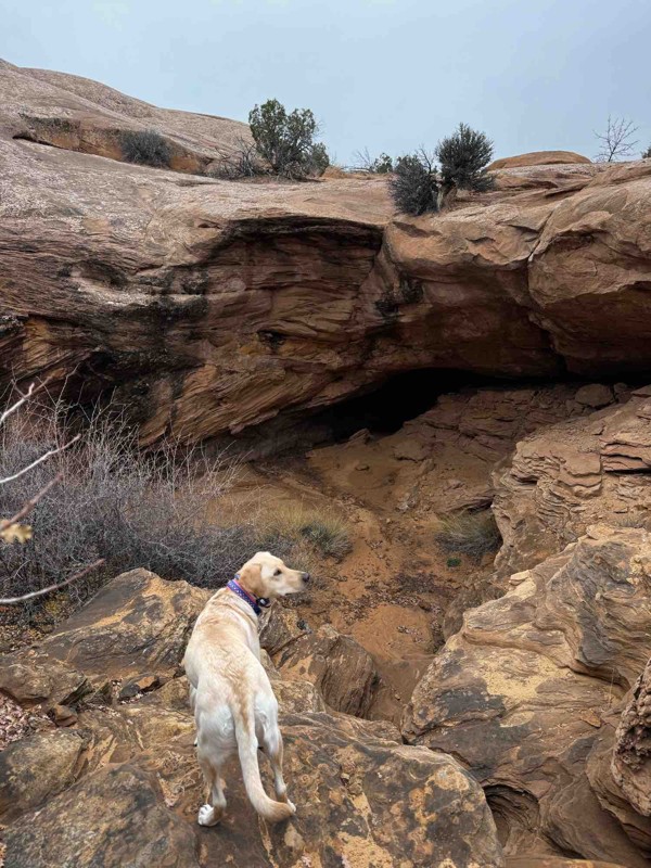 Dellenbaugh Tunnel Trail Review Photo